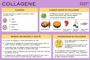 collagene-infografica