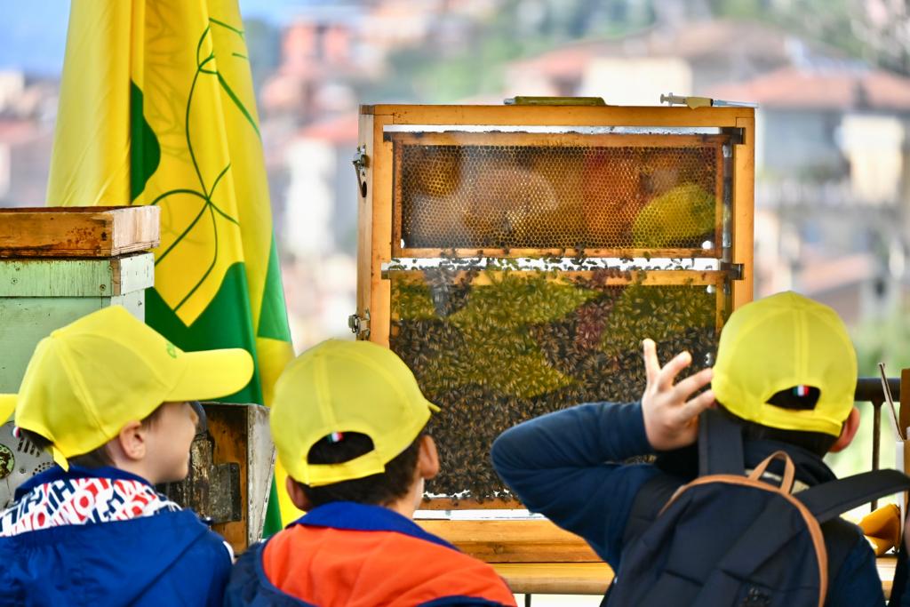Coldiretti Marche. La siccità taglia anche la produzione di miele marchigiano. Occhio all’etichetta: 2 vasetti su 3 vengono dall’estero