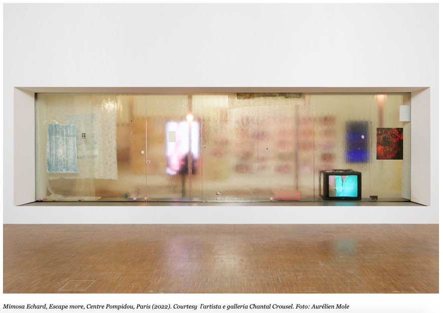 Mimosa Echard, il premio "Marcel Duchamp 2022"