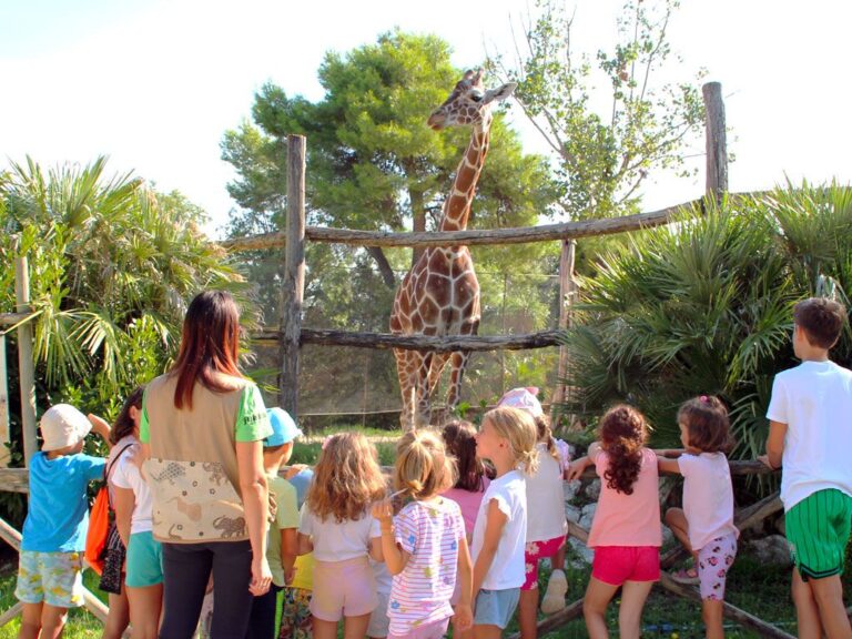 Settembre al Parco Zoo Falconara: un mese di scienza, divertimento e natura
